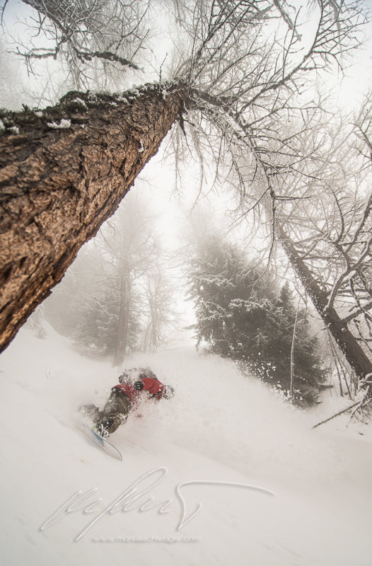 Punta Helbronner freeride experience